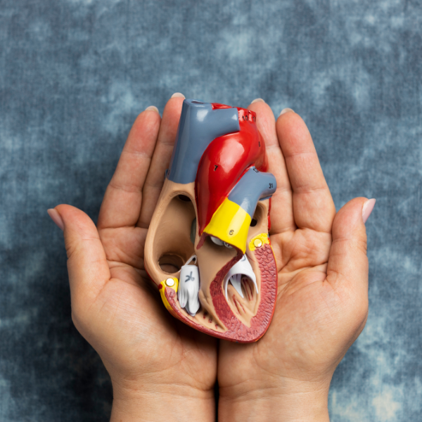 Kidney Transplantation